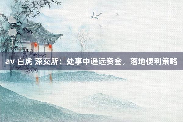 av 白虎 深交所：处事中遥远资金，落地便利策略