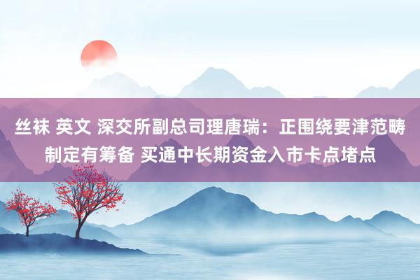 丝袜 英文 深交所副总司理唐瑞：正围绕要津范畴制定有筹备 买通中长期资金入市卡点堵点