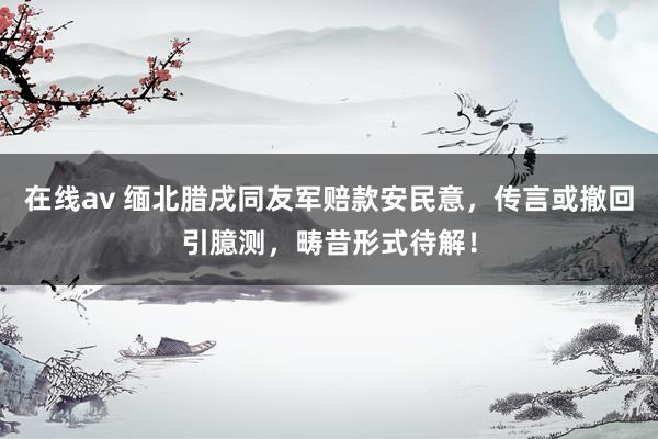 在线av 缅北腊戌同友军赔款安民意，传言或撤回引臆测，畴昔形式待解！