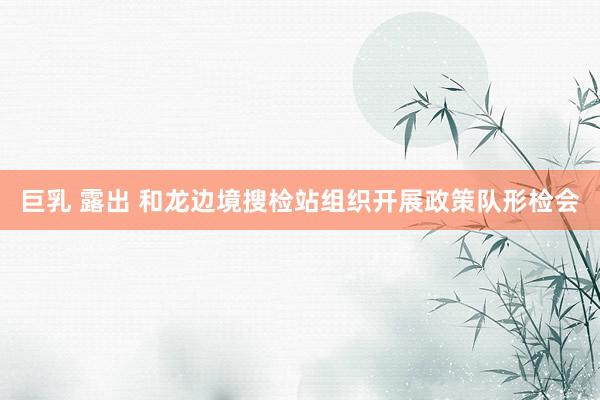 巨乳 露出 和龙边境搜检站组织开展政策队形检会
