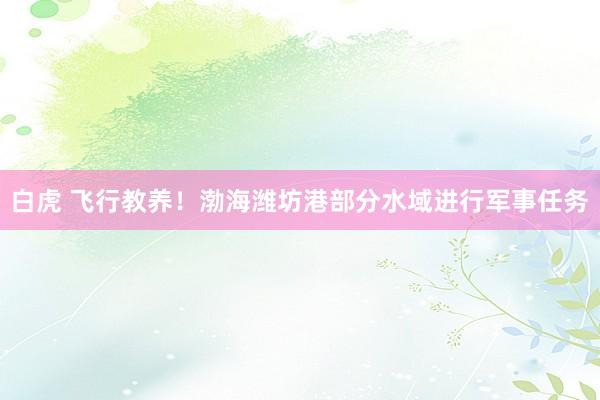 白虎 飞行教养！渤海潍坊港部分水域进行军事任务