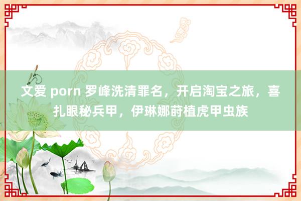 文爱 porn 罗峰洗清罪名，开启淘宝之旅，喜扎眼秘兵甲，伊琳娜莳植虎甲虫族