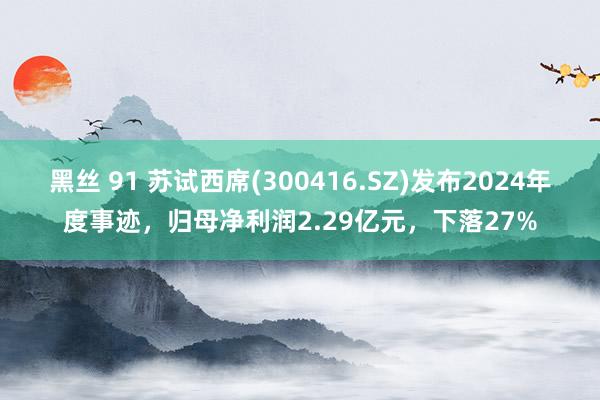 黑丝 91 苏试西席(300416.SZ)发布2024年度事迹，归母净利润2.29亿元，下落27%