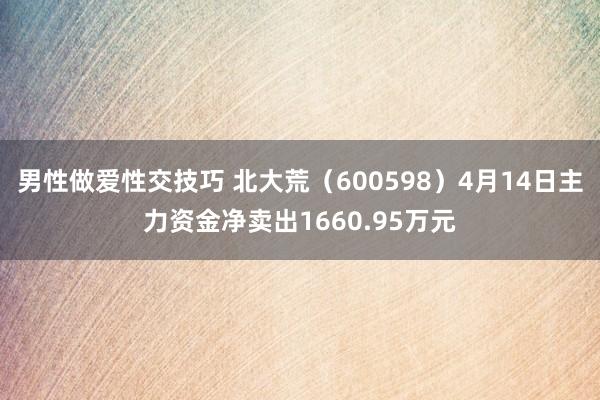 男性做爱性交技巧 北大荒（600598）4月14日主力资金净卖出1660.95万元