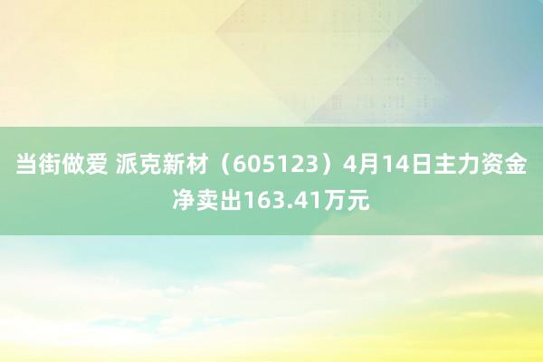 当街做爱 派克新材（605123）4月14日主力资金净卖出163.41万元
