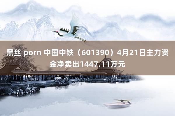 黑丝 porn 中国中铁（601390）4月21日主力资金净卖出1447.11万元