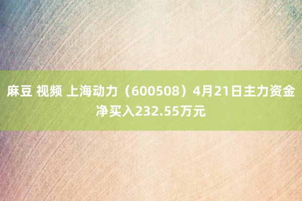 麻豆 视频 上海动力（600508）4月21日主力资金净买入232.55万元
