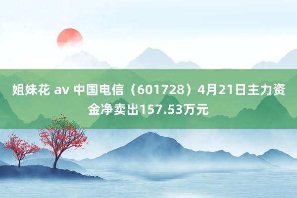 姐妹花 av 中国电信（601728）4月21日主力资金净卖出157.53万元