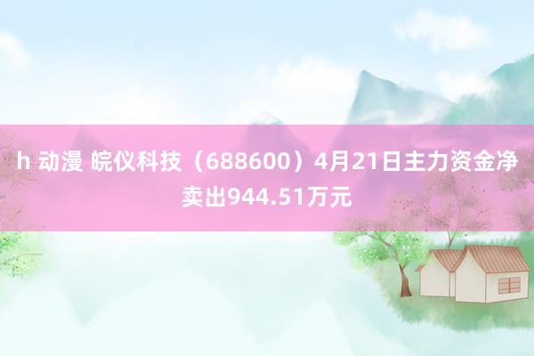 h 动漫 皖仪科技（688600）4月21日主力资金净卖出944.51万元