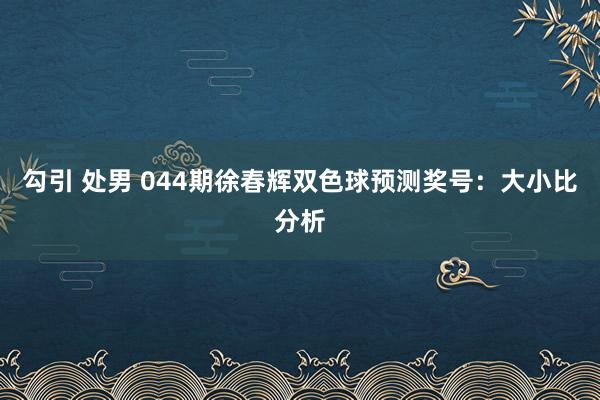 勾引 处男 044期徐春辉双色球预测奖号：大小比分析