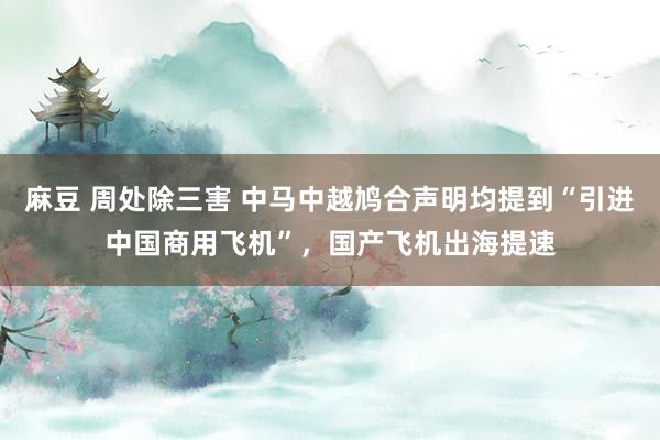 麻豆 周处除三害 中马中越鸠合声明均提到“引进中国商用飞机”，国产飞机出海提速