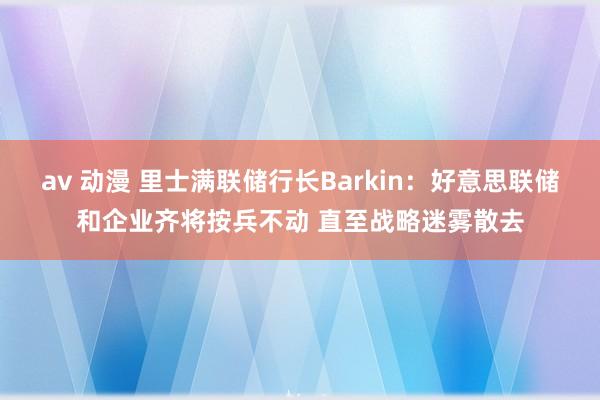 av 动漫 里士满联储行长Barkin：好意思联储和企业齐将按兵不动 直至战略迷雾散去