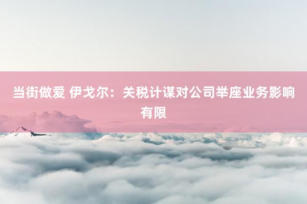 当街做爱 伊戈尔：关税计谋对公司举座业务影响有限