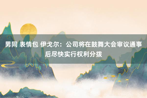 男同 表情包 伊戈尔：公司将在鼓舞大会审议通事后尽快实行权利分拨