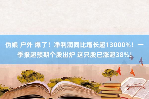 伪娘 户外 爆了！净利润同比增长超13000%！一季报超预期个股出炉 这只股已涨超38%！