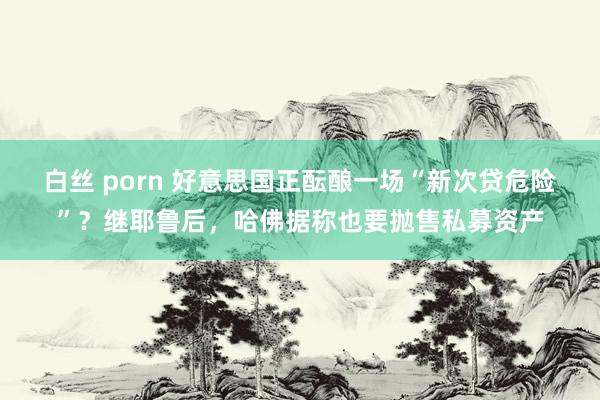 白丝 porn 好意思国正酝酿一场“新次贷危险”？继耶鲁后，哈佛据称也要抛售私募资产